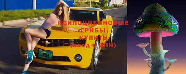 не бодяженный Каменногорск