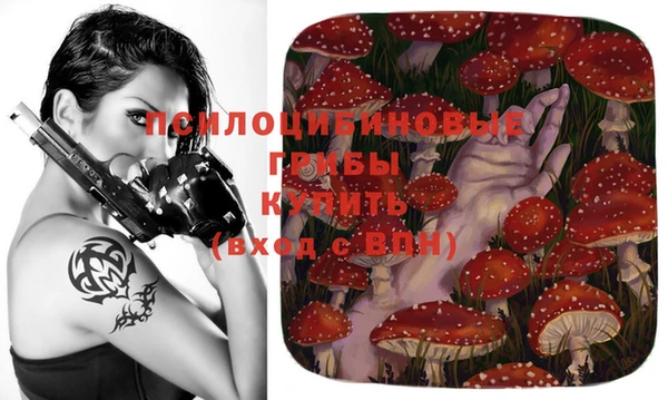 мескалин Каменск-Шахтинский
