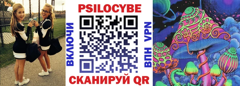 Галлюциногенные грибы Psilocybe  Купить  Суворов 